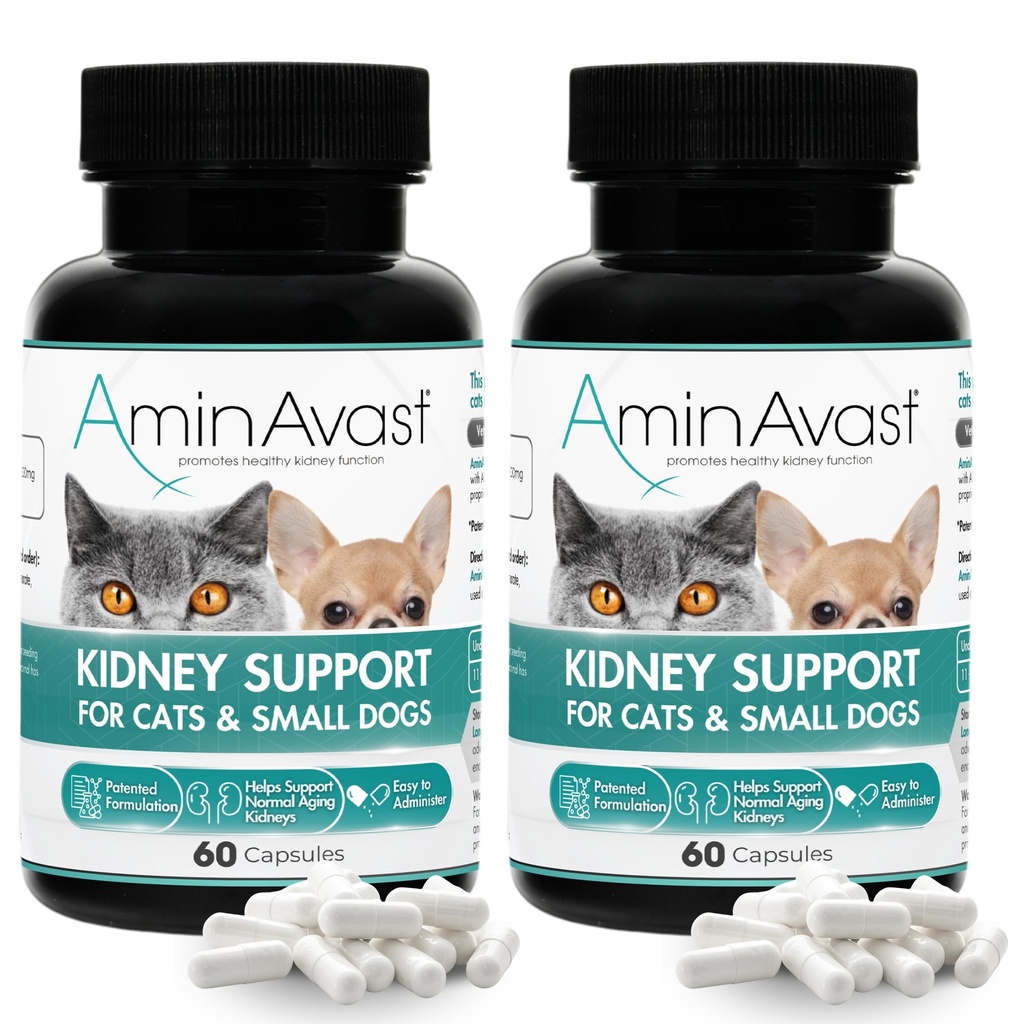 Tambahan Dukungan AminAvar Kidney untuk Kucing dan Anjing Kecil, 300mg 2-Pack - Promotes Fungsi Natural Ginney - Aids dalam Kesehatan dan Vitalitas Aging Kidneys - Easly Administished - 60 Sprinkle Capsules
