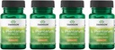 Swanson L. Plantatum - Digetical Supplemen Memproyeksikan Keseimbangan Gastrointestinal & Isi Roti