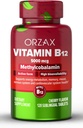ORZAX Vitamin B12 5000 mcg Methylcobalamin for Memory, Mood, Blood Cell Fungsi, Cardiovascular and Energy Suplement - Cherry Flavored - Vegan & Non-GMO - 120 Sublingual Tablet
