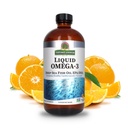 Nature 's Jawaban Cair Omega-3 Average 124; Deep Sea Fish Oil dengan EPA / DHA Dietary Suplemen 124; Cardiovascular Dukungan; Tidak Ada Pengawet & Gluten- Free 16oz (Paket 1)
