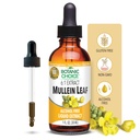 Botanic Choice Mullein Leaf Liquid Extract, Alkohol Free, Gluten Free, Tradisional Repiratory Dukungan 1 FI Oz.