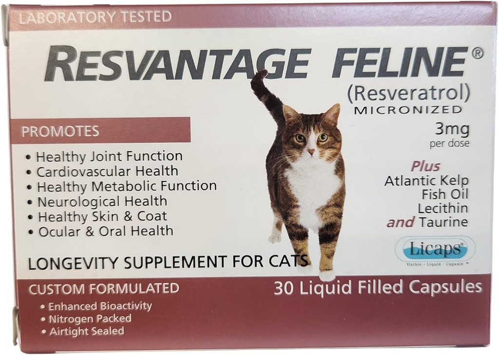 - The Longevity Suplemen untuk Kucing - 30 Kapsul