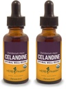 Herb Pharm Certified Organic Celandine Liquid Extract - 1 Ounce (Paket 2)