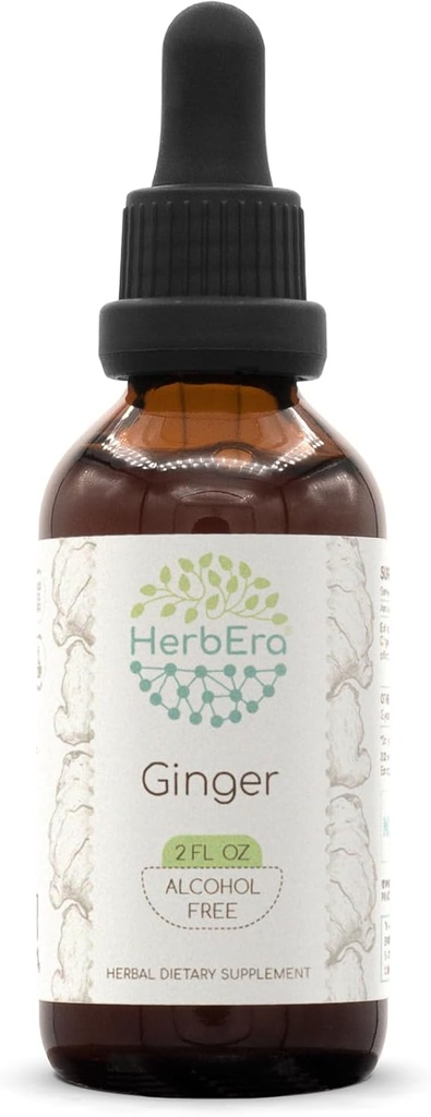 Herbera Ginger B60 Alcohol- Free Herbal Extract Tincture, Super- berkonsentrasi Ginger (officincinale Zingiber) 2 lf oz