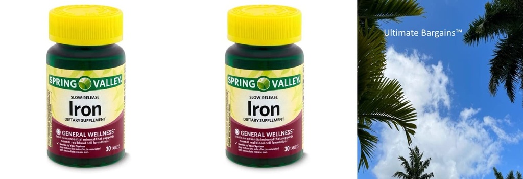 Spring Valley Slow- Rilis Iron Dietary Suplemen, 60 Count + Your Vitamin Guide ©