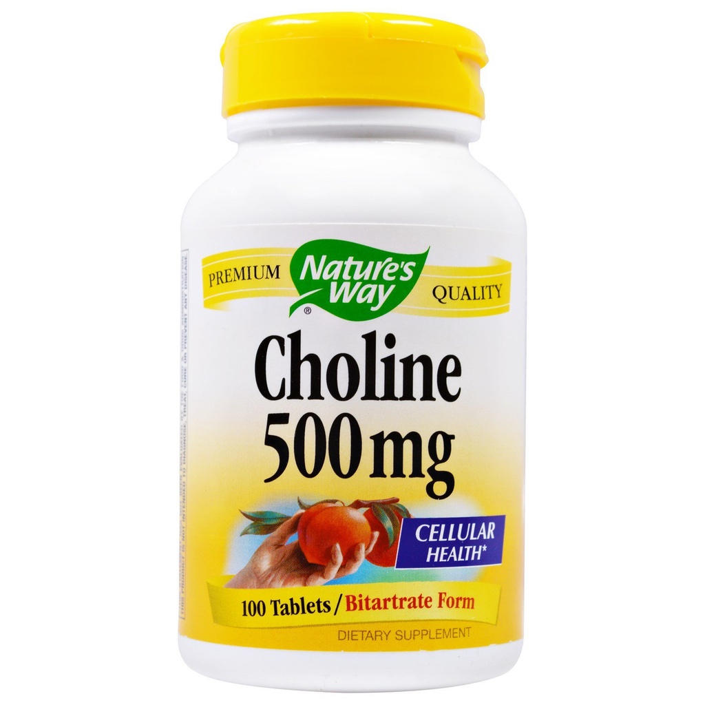 NATURE WAY CHoline 500mg 100 tablet