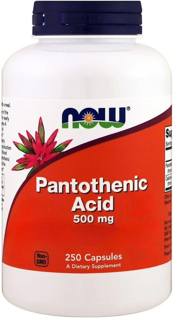 Sekarang Foods, Pantothenic Acid, 500 mg, 250 Capsules