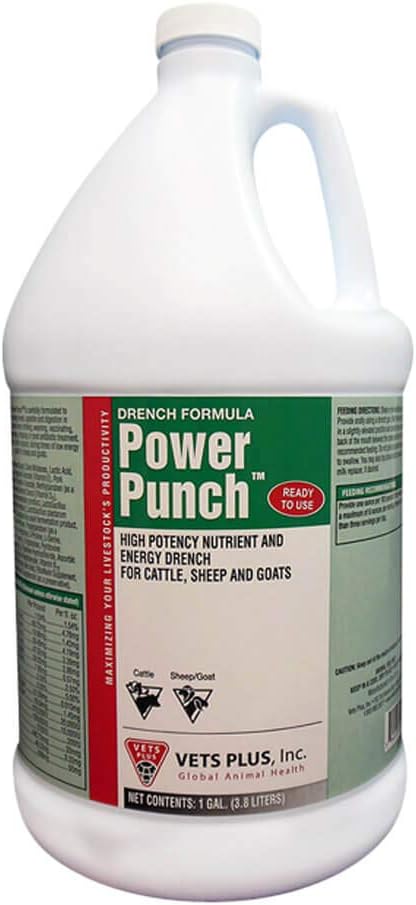 Vets Plus Power Punch, Energi Drench, Gallon