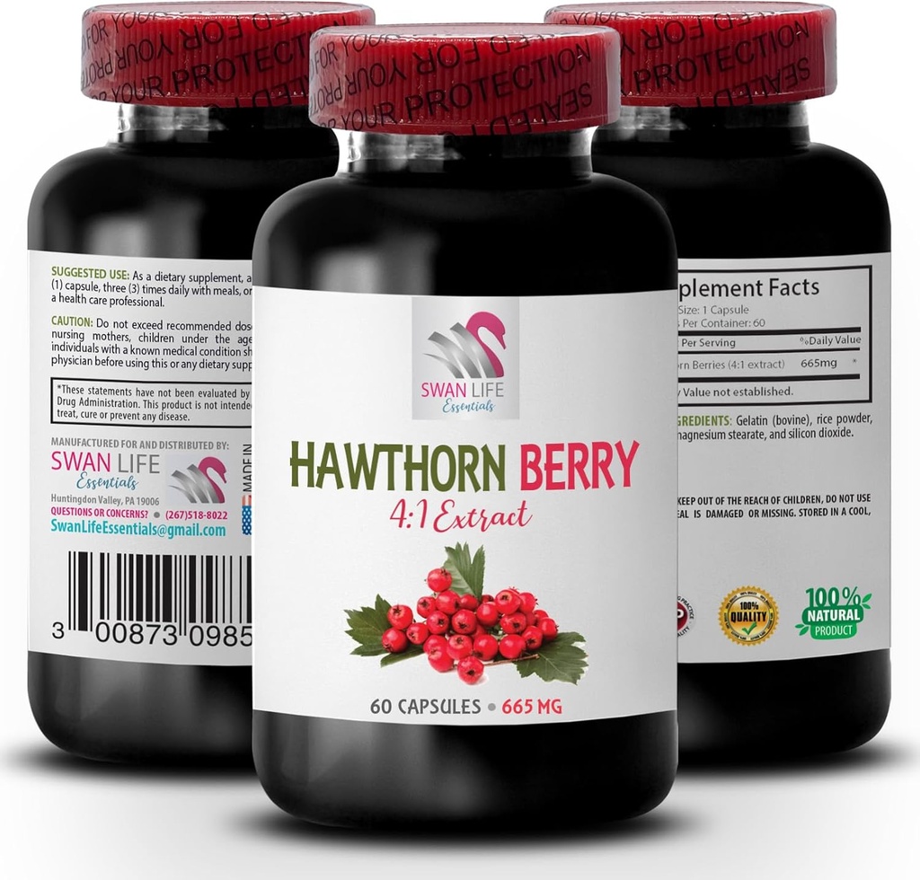 Hawthorn ekstrak suplemen - HAWTHORN BERTRACT - Hawthorn berry antioksidan, hawthorn berry ekstrak kapsul, berry ekstrak bubuk, energi berry liar, hawthorn energi 1 Botol 60 Capsules