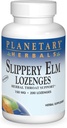 PLANETARY HERBALS Slippery Elm Lozenges, Unflafeed, 200 Count