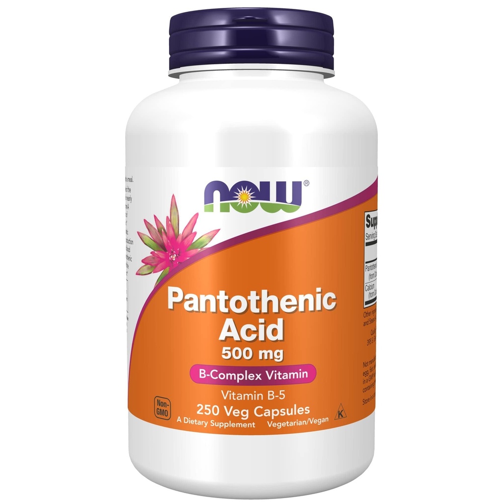 Sekarang Makanan Suplemen, Acid Pantothenic (Vitamin B-5) 500 mg, B-Complex Vitamin, 250 Kapsul