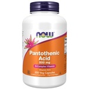 Sekarang Makanan Suplemen, Acid Pantothenic (Vitamin B-5) 500 mg, B-Complex Vitamin, 250 Kapsul