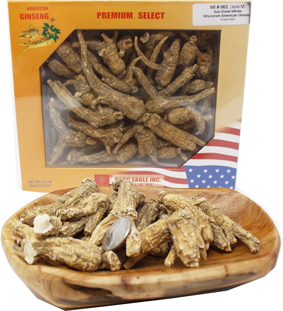 DOL Hands - Pilihan Wisconsin Memburu Ginseng Root Medium & Large Above