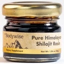 Jadilah Bodywise Pure Himalaya Shilajit Resin I 600 mg I 75% + Fulvic Acid & 85 + Trace Minetrace 124; Zero Sugar I Lab Test I Heavy Metal Free I 100% Auttic & Natural, Organic I for Men & Women & Women I 30 gma.