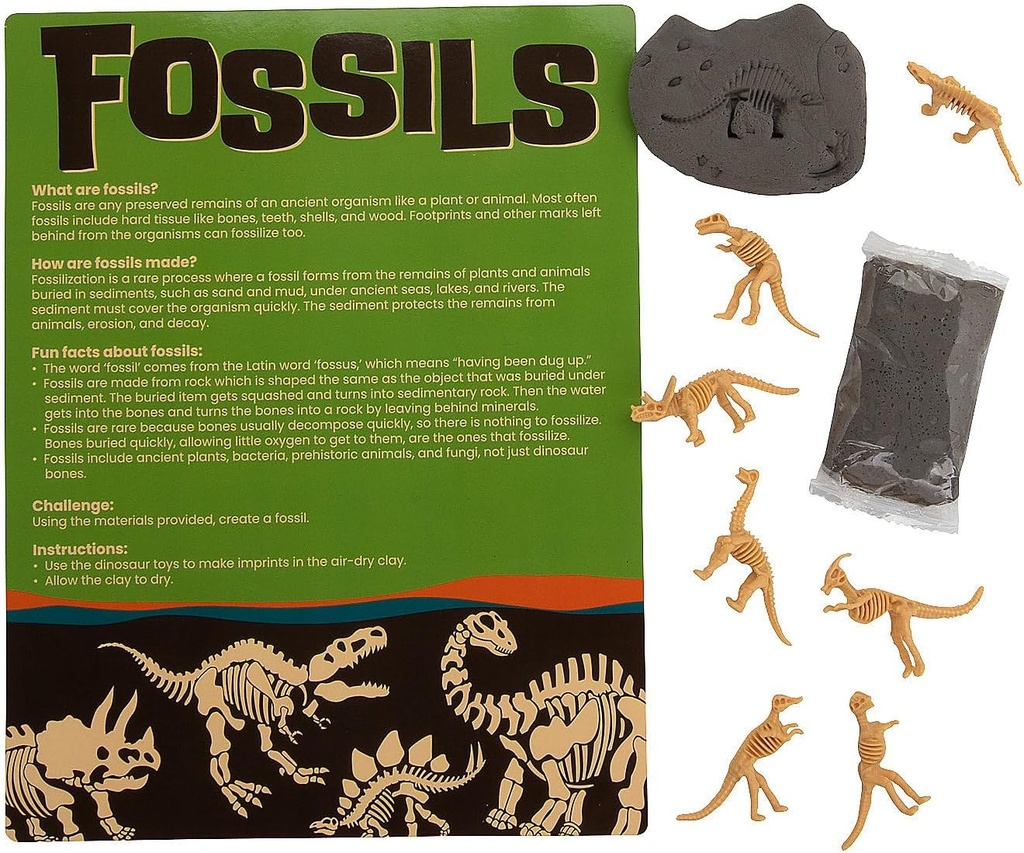 Fun Express Make Your Own Fosil Craft Kit - Makes 12