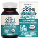 Suplemen Idetin Organik dari Kompleks Laut Sayuran, Food & Raw Seluruh - Idein Plus Trace Kompleks Mineral - Berisi Kurung Laut Kelp Islandia, Irlandia Moss & Bladderwrack (250 mcg)