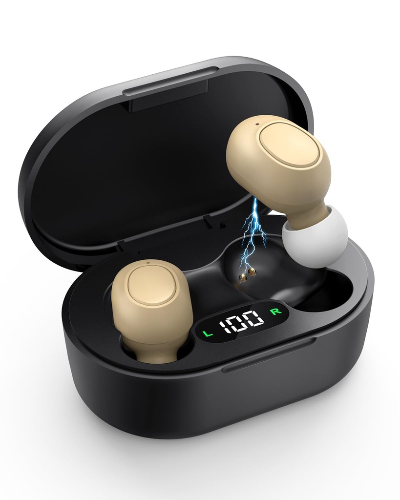 Hearing Aids for Seniors - Hearing Aid Rechargable for Hearing Loss with Intellient Noise Reduction, Invisible Audien Hearing Amplifier with Volume Control and Portable Charging Case