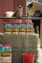 Penjaga kuda 4.6 lb, Equine Vitamin Mineral Suplemen dengan Organik Selenium & Vitamin E