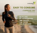 Evergreen Herbs Supplement Herbal Capsules 90 Count (Senna Leaf) - Segel Bukti Tamper untuk memastikan Freshness.