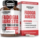 Fadogia Agrestis 1500mg [Kemurnian Tertinggi] + BioPerine ® untuk Tambahan Absorpsi Tinggi dengan Tongkat Ali - Memperbesar Stamina, Lean Muscle Growth & Recovery, Boosts Drive 3rd Party Tested 120 Capsules