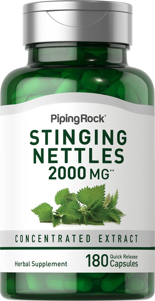 Piping Rock Stinging Nettle Capsules 2000 mg 124; 180 Pil 124; Konsentrasikan Leaf Extract 126; Non-GMO & Gluten Free Herbal Suplemen