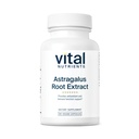 Nutrients Vital - Astragallus Root Extract - Vegan Formula - Herbal Dukungan untuk The Immune System - 90 Vegetarian Capsules per Botol - 300 mg