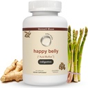 Relief Acid & Inditration, Alternatic Safe Antacid Alternative for Occational Acid Reflux & Heartburn, Ginger, Curcumin, Spearmint & More - Phd Doctor- Formulated & ClangallyDipelajari - 30 Servis