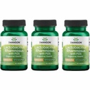 Swanson Lactoillus Rhamnosus dengan FOS - Probiotic Supplemen Kesehatan Digetical - 5 Milyar CFU - Promoses GI Tract Health During - (60 Vevgie Caps) 3 Pack