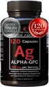 Tambahan GPC Alpha & BioPerine untuk Absorpsi Hyper - 120 Count, Alpha- GPC 600mg per Serving - Nootropics for Memory, Focus, Energy, & Drive - Choline Suplemen Boost Acetylcholcol, Dibuat di USA