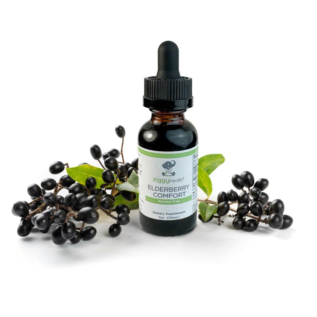 Organ Elderberry Tincture - Elderberry Extract - Liquid Elderberry Drops, Imune Dukungan, Dukungan Repiratory & Pertahanan, 1oz - Ziggy Kesehatan