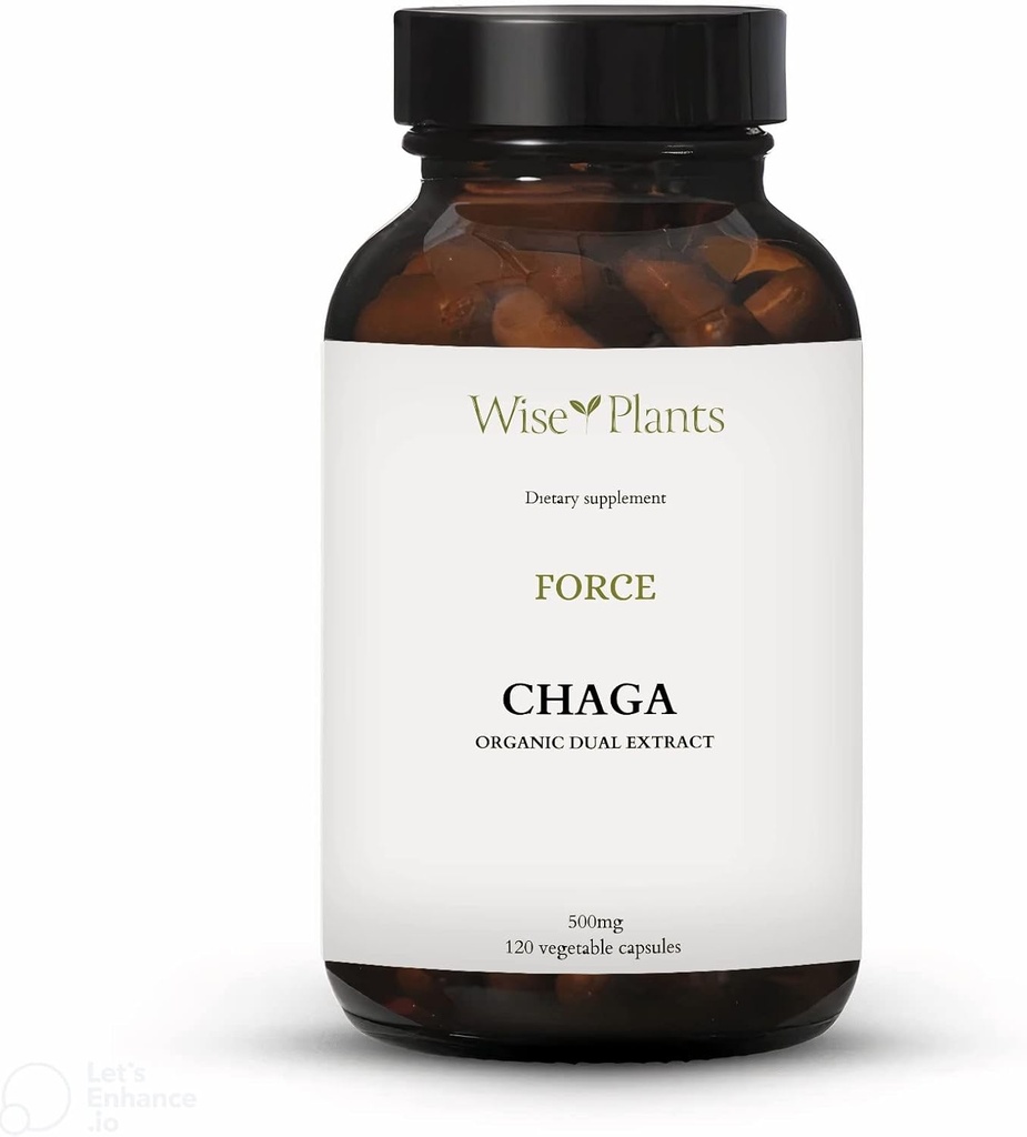 Chaga Jamur Suplemen. Dual Extract, Pure Fruiting Body, 30% Polysacchardes, 500 mg, 120 vegecaps (Supply hari 120). Dapat mendukung sehat pencernaan, kekebalan tubuh fungsi dan mempromosikan kesehatan jantung.