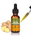 Herb Pharm Certified Organic Ginger Liquid Extract for Digetical Support - 1 Ounce