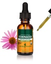 Herb Pharm Certified Organic Echinacea Root Liquid Extract for Immune System Support, Organic Cane Alkohol, 1 Ounce (DECH01)