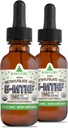 RawGuru Methylfolat 1mg + Vitamin B12 - Metode Vegan Organik B12 dengan Trace Minetal - Nano- Diproses & Enhanced Liquid Formula - 300 Servis Vegan Drops per 30 ml, Paket 2