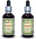 Selfheal (Prunella Vulgaris) Glycerite, Organic Dried Herb Alcohol- Four Liquid Extract (Nama merek: HerbalTerra, Proughtly dibuat di USA) 2x2 f.oz (2x60 ml)