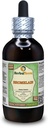 Bromelain (Anana Comosus) Glycerite, Dry Powder Alcohol- Free Liquid Extract (Nama Merek: HerbalTerra, Proughtly Made in USA) 4 f.oz (120 ml)