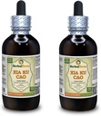 Xia Ku Cao, Prunella (Prunella Vulgaris) Tincture, Organic Dried Spike Powder Extract (Nama Merek: HerbalTerra, Proughtly Made in USA) 2x4 F.oz (2x120 ml)