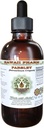 Parsley Alcohol-Free Liquid Extract, Parsley (Krislum Petroselinum) Root Glycerite Natural Herbal Suplemen, Hawaii Pharm, USA 2 f.oz