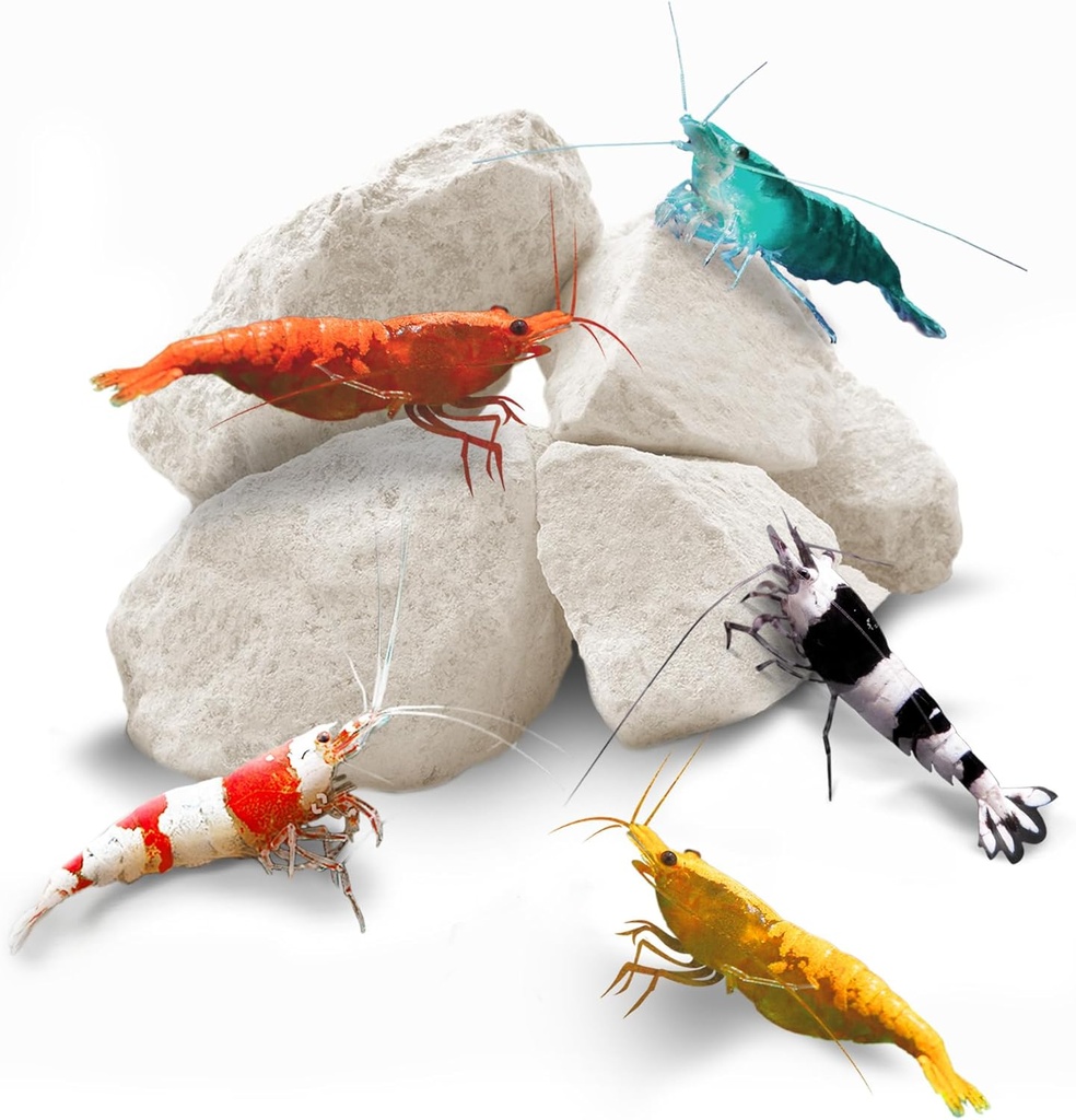 SunGrow Shrimp Rocks, Kalsium, Magnesium Rocks untuk Crayfish, Hermit Crab, Siput, Crustacean Care, Decer Aquarium untuk Crystal Red, Amano dan Ghost Shrimps, Nano Tank Accesories, Fish Tank Supplies
