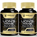 Lions Mane Suplement Capsules - 120 Count - Suplemen Jamur, Suplemen Otak untuk Memori dan Fokus, Katup Jamur Mane Singa - Kognitif & Imune Dukungan, Suplemen Fokus - 2 Pack