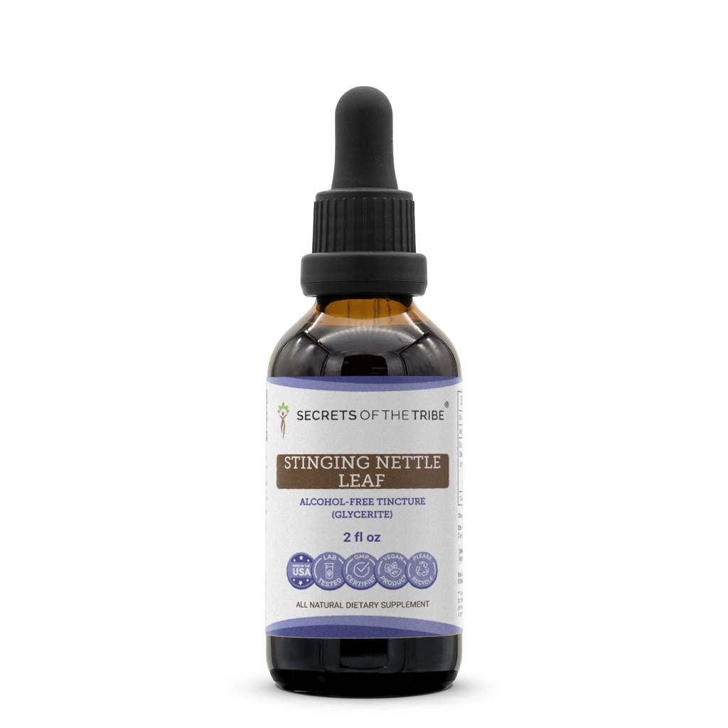 Rahasia Suku Stinging Nettle Leaf Alcohol- Free Taincture (Glycerite) 694 mg Stinging Nettle (Urtica Dioica) Dry Leaf (2 Fl Oz) Persediaan Bantuan Bantuan Allergy Relief