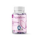 Hyland 's Kids Organic Elderberry Plus Gummies, Organic Black Elderberry dengan ZINC dan Vitamin C, Hammune Dukungan untuk Anak-anak, 48 Vegan Gummies