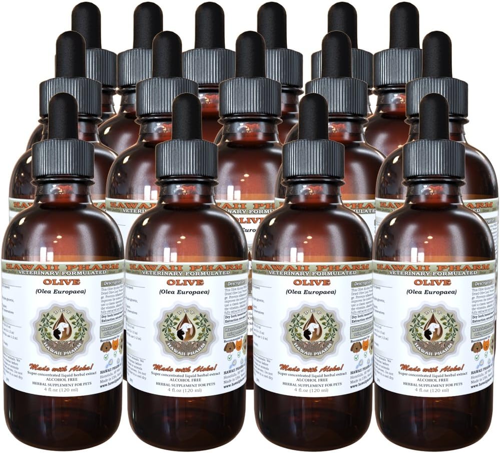 Zaitun FilePharm (Olea europaea) Organik DryLeaf Veterinary Alcohol- Free Liquid Extract, Pet Herbal Suplemen 15x4 oz