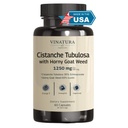 VINATURA Cistanche dengan Horny Goat Weed 60% Aisin - 1250mg per Serving, Cistanche Tubulosa, Cistenche Supplemen Men, Energy, Cognitive * USA Terbuat dan Diuji * - 60 Capsules 30 Servings