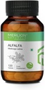 Sheltr Alfalfa Tablet, Mediterania Sativa, All Natural, Pure Herbs 500mg x 120 tablet