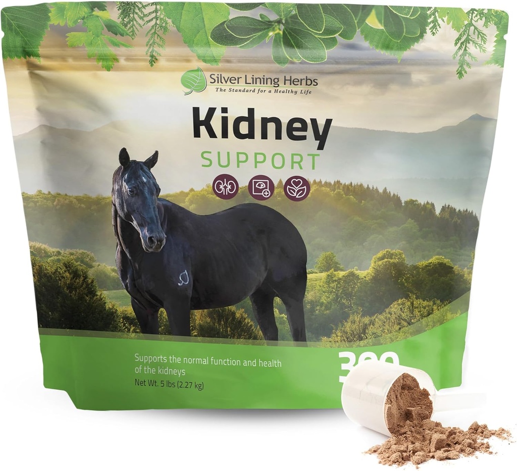 Silver Lining Herbs Kidney Suppport suplemen untuk Kuda - Suplemen Kuda untuk Kesehatan dan Pendek Anak-Anak-Perak - Lengkap dengan Chamomile, Bawang, Juniper Berry, dan Lebih - 5 kg (300 Hamba)