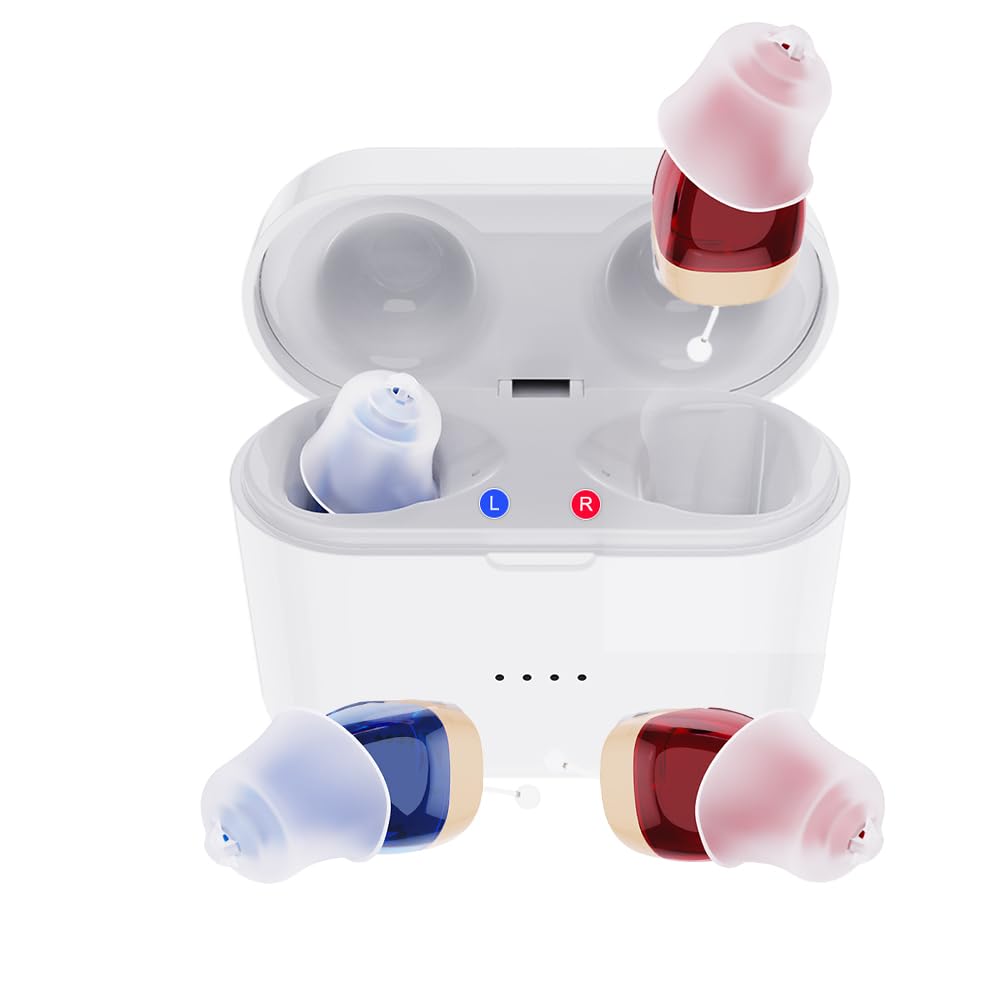 Hearing Aids for Seniors, Rechargaeable Hearing Aid 10 Channel Mini Hearing Device with Noise Cancelling Hearing amplifier for Dewasa dengan Charging Case