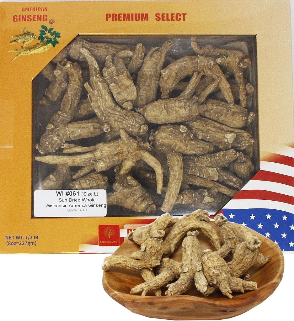 Wisconsin Pilihan Amerika Memburu Ginseng Root Medium: