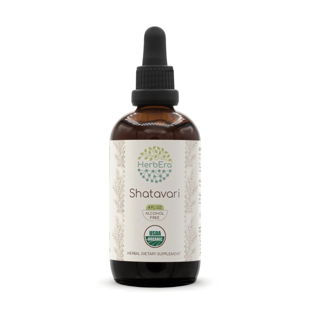 HerbEra Shatavari B120 USDA Organik Tincture 124; Alcohol-Extract Bebas, Tinggi Potency Herbal Drops 124; Certifikasi Organik Shatavari (Asparagus racemodus) Root Kering (4 oz)