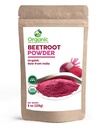 Root Powder Organik Beet 124; 8 oz atau 226g 14; USDA Organik Disetujui, Raw dan Non GMO 124; Nitric Oxide Booster, menginduksi Stamina dan Circulation 124; Vegan 124; 100% Raw dari India, oleh SHOPOSR (8oz)